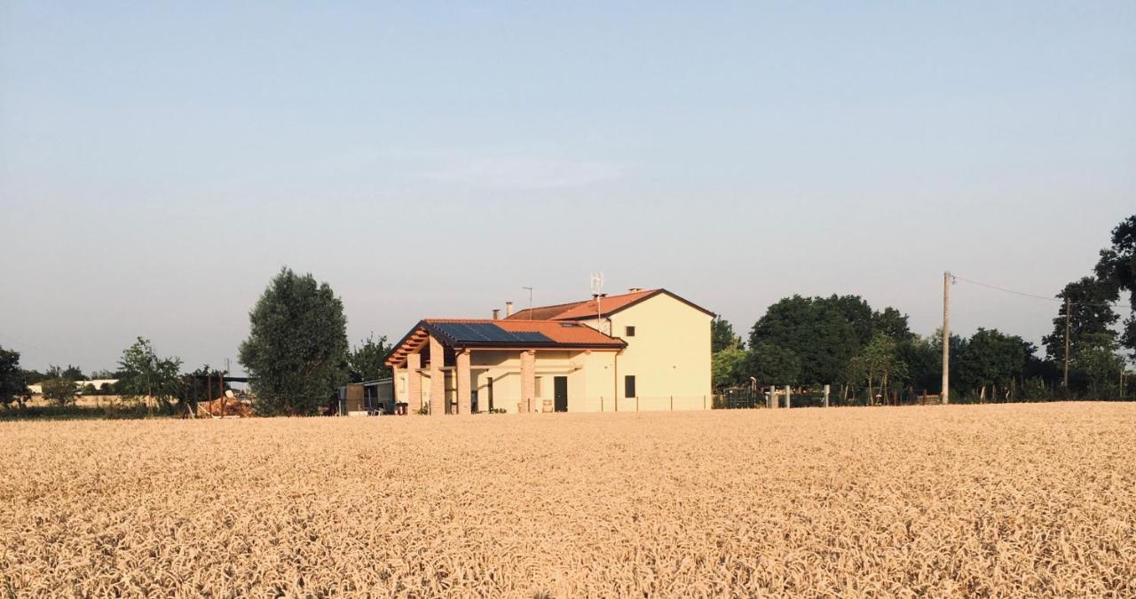 Corbola B&B Casa Egle מראה חיצוני תמונה
